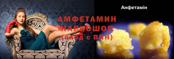 прущие грибы Ростов