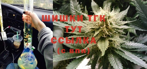 прущие грибы Ростов