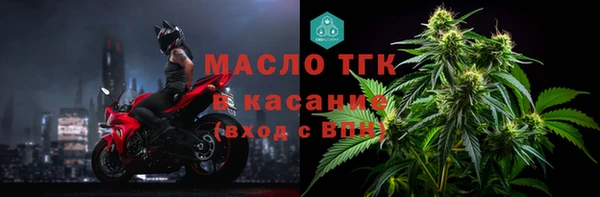 прущие грибы Ростов