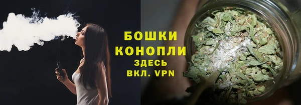 МДПВ Рославль