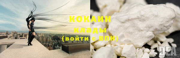 прущие грибы Ростов