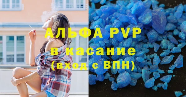прущие грибы Ростов