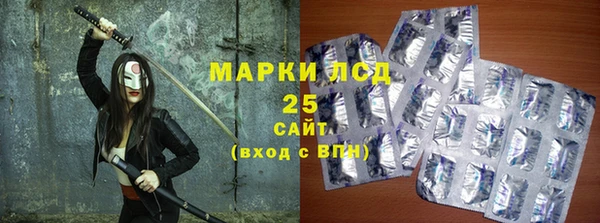 прущие грибы Ростов