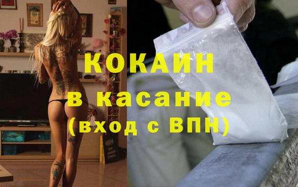 прущие грибы Ростов