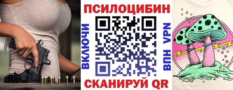блэк спрут tor  Семёнов  Псилоцибиновые грибы Psilocybe 